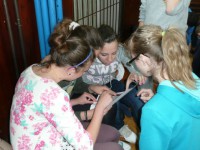 /album/fotogaleria/img007-kopia-jpg/